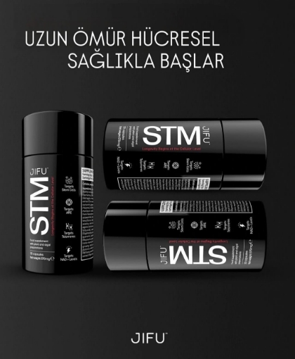 Picture of STM 